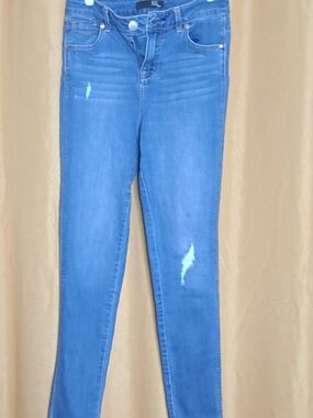 1822 Denim Skinny Jeans in Blue with Light Distress